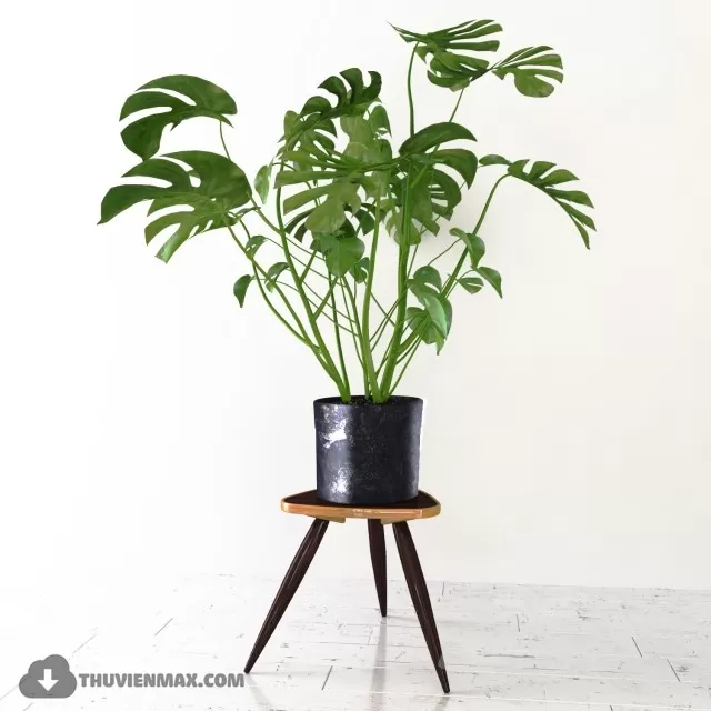 3DSKYFREE – PLANT 3DS MAX MODELS