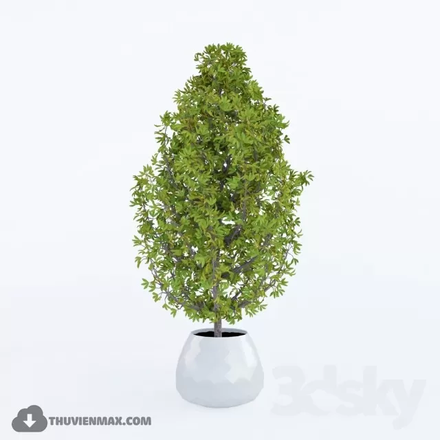 3DSKYFREE – PLANT 3DS MAX MODELS