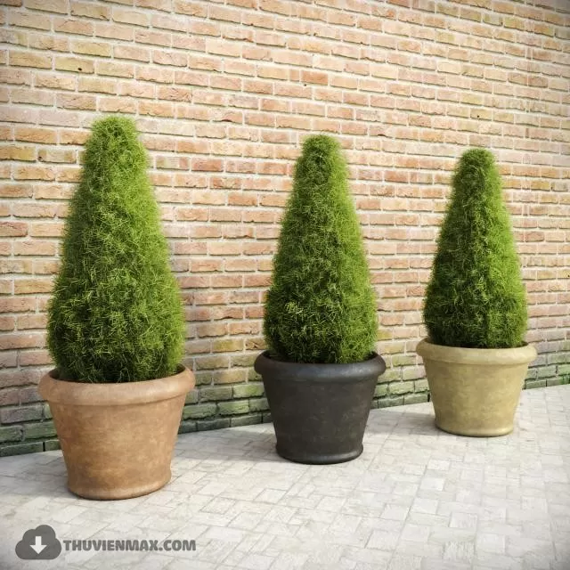 3DSKYFREE – PLANT 3DS MAX MODELS