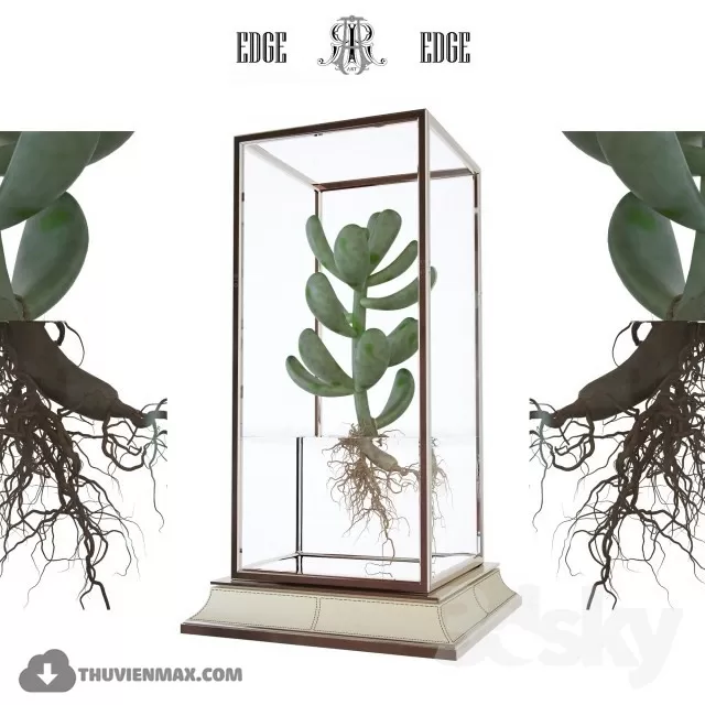 3DSKYFREE – PLANT 3DS MAX MODELS