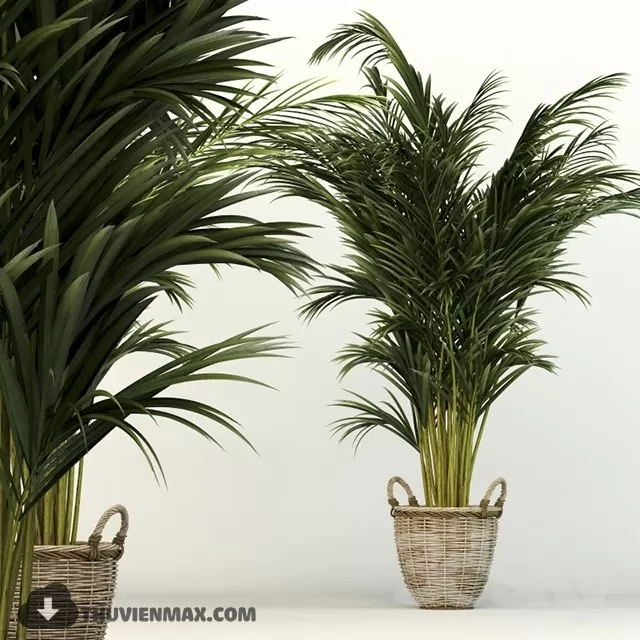 3DSKYFREE – PLANT 3DS MAX MODELS