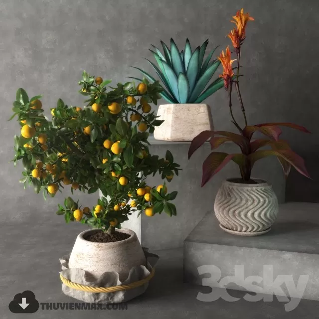 3DSKYFREE – PLANT 3DS MAX MODELS