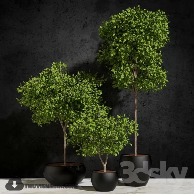 3DSKYFREE – PLANT 3DS MAX MODELS