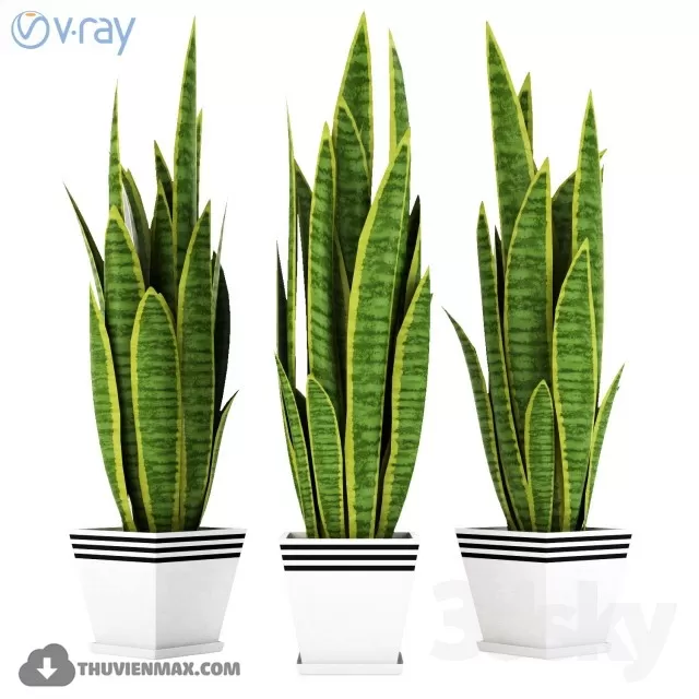 3DSKYFREE – PLANT 3DS MAX MODELS