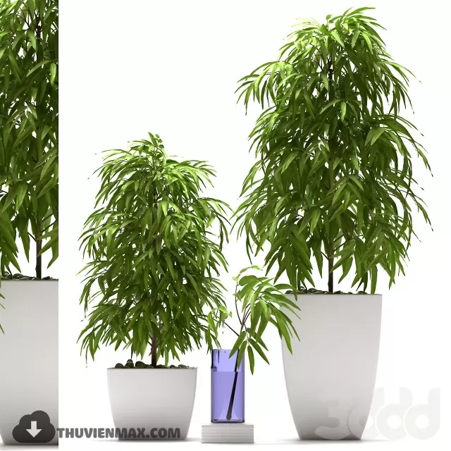 3DSKYFREE – PLANT 3DS MAX MODELS