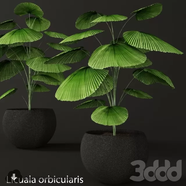 3DSKYFREE – PLANT 3DS MAX MODELS