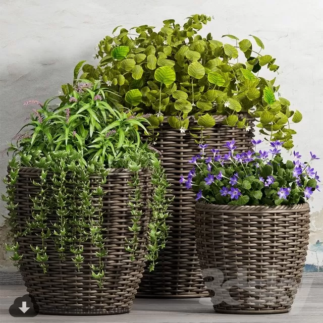 3DSKYFREE – PLANT 3DS MAX MODELS