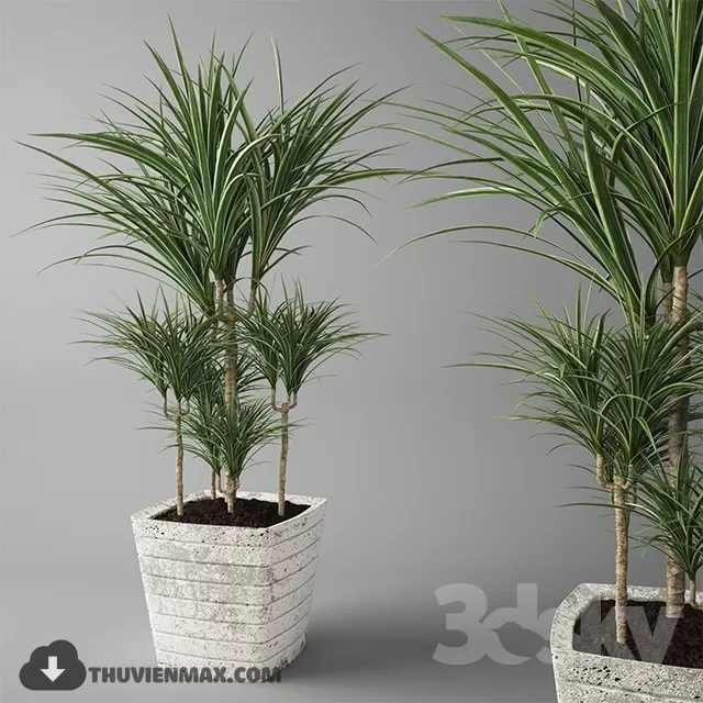 3DSKYFREE – PLANT 3DS MAX MODELS