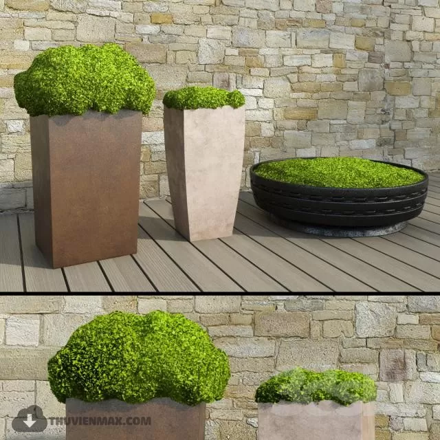 3DSKYFREE – PLANT 3DS MAX MODELS