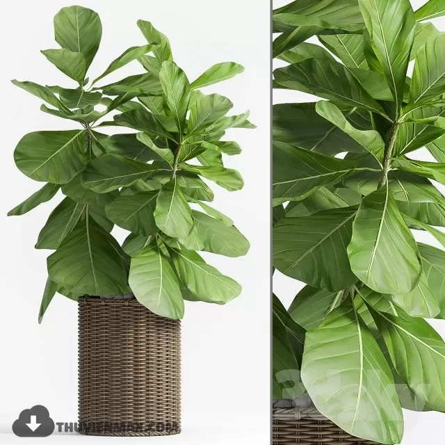 3DSKYFREE – PLANT 3DS MAX MODELS