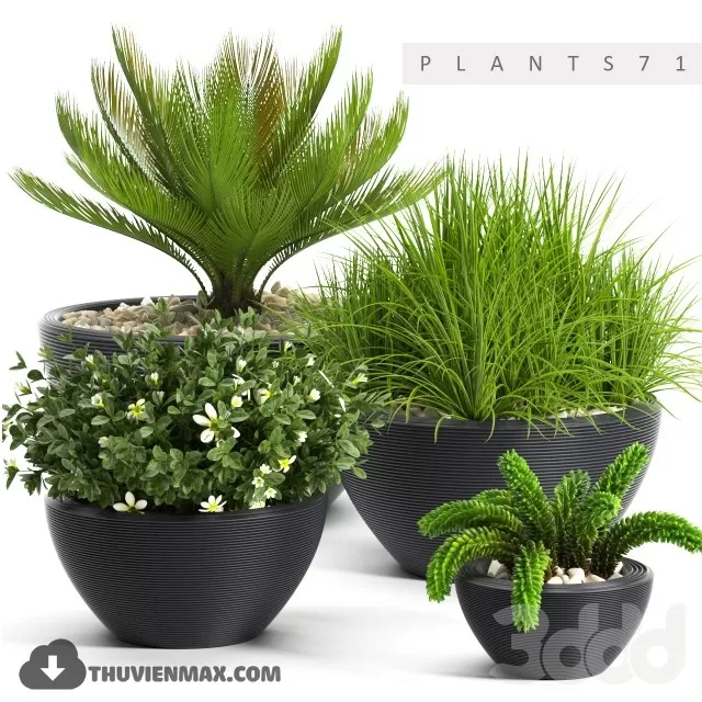 3DSKYFREE – PLANT 3DS MAX MODELS