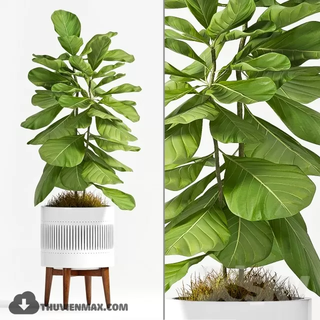 3DSKYFREE – PLANT 3DS MAX MODELS