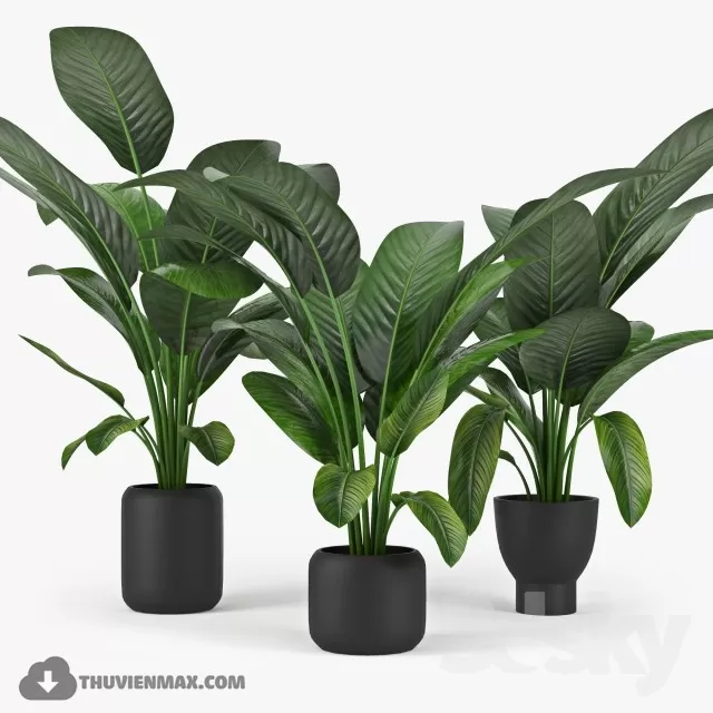 3DSKYFREE – PLANT 3DS MAX MODELS