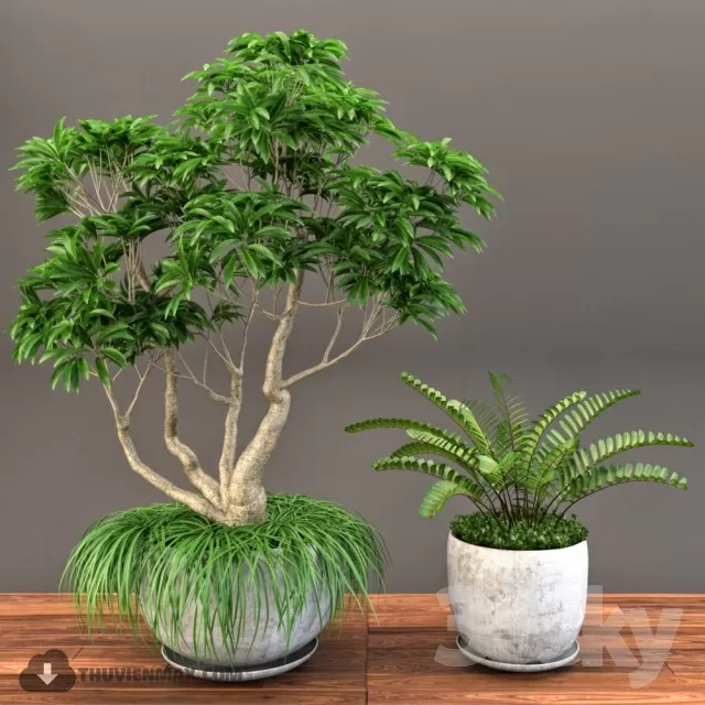 3DSKYFREE – PLANT 3DS MAX MODELS