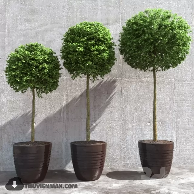 3DSKYFREE – PLANT 3DS MAX MODELS