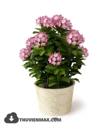 3DSKYFREE – PLANT 3DS MAX MODELS