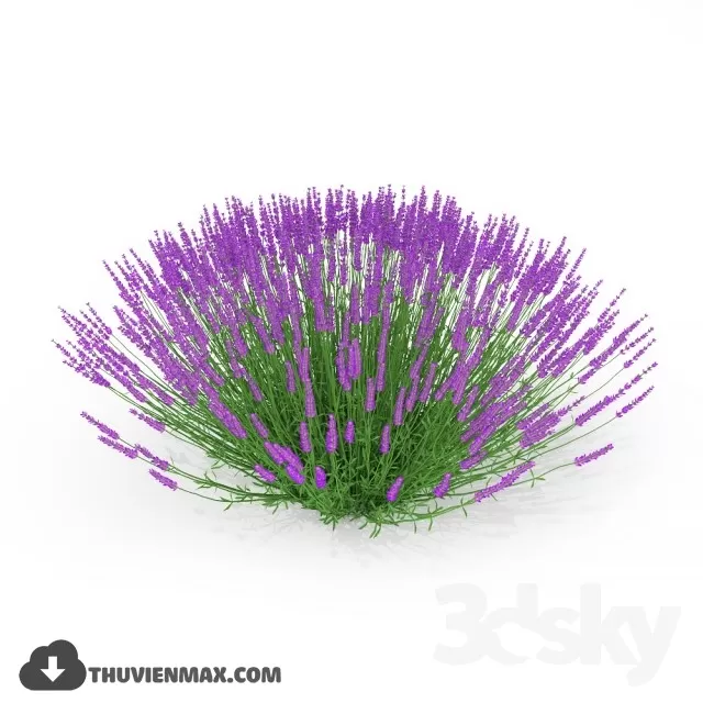 3DSKYFREE – PLANT 3DS MAX MODELS