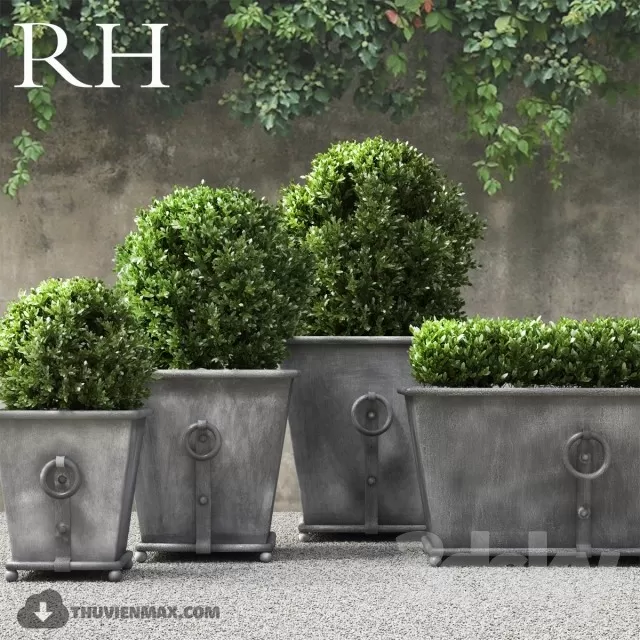 3DSKYFREE – PLANT 3DS MAX MODELS