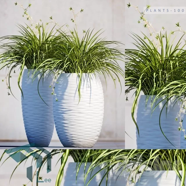 3DSKYFREE – PLANT 3DS MAX MODELS