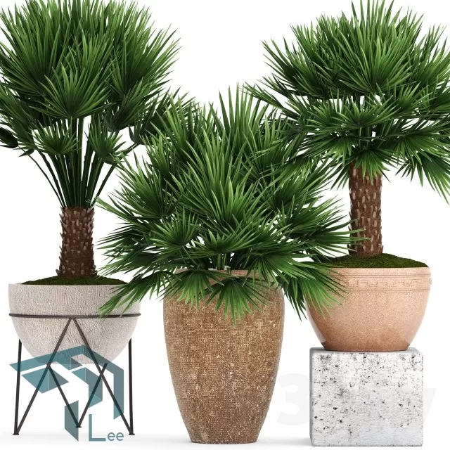 3DSKYFREE – PLANT 3DS MAX MODELS