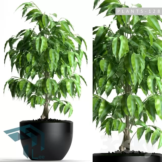 3DSKYFREE – PLANT 3DS MAX MODELS