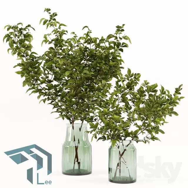 3DSKYFREE – PLANT 3DS MAX MODELS