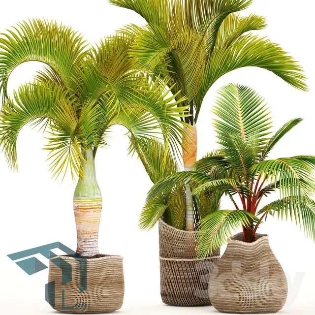 3DSKYFREE – PLANT 3DS MAX MODELS