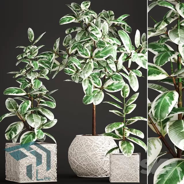 3DSKYFREE – PLANT 3DS MAX MODELS