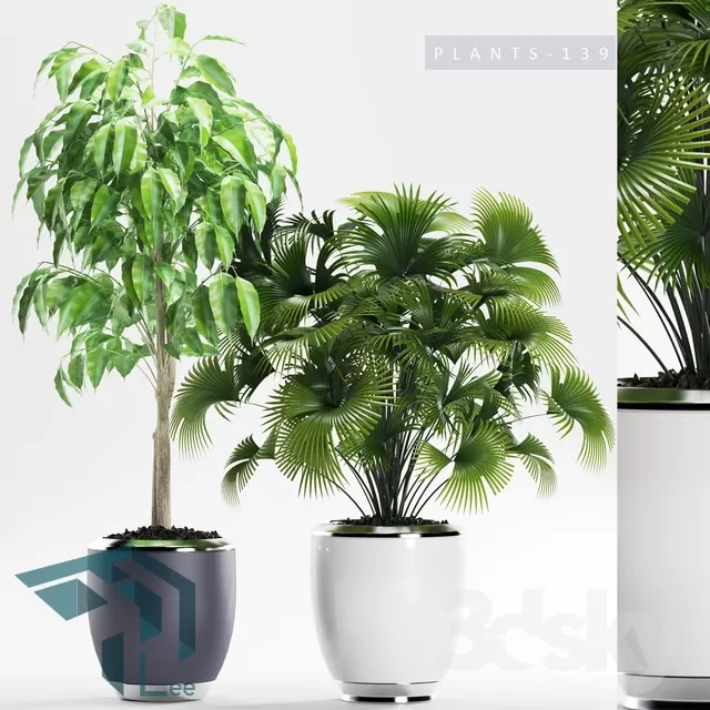 3DSKYFREE – PLANT 3DS MAX MODELS