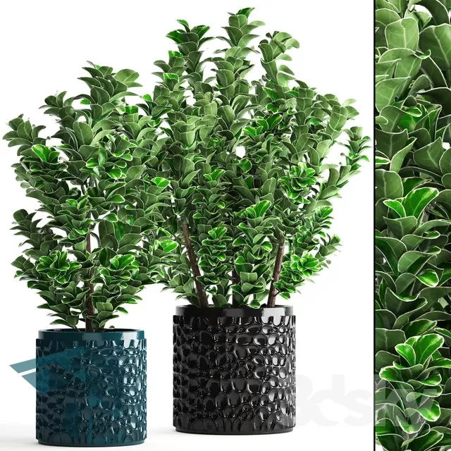 3DSKYFREE – PLANT 3DS MAX MODELS
