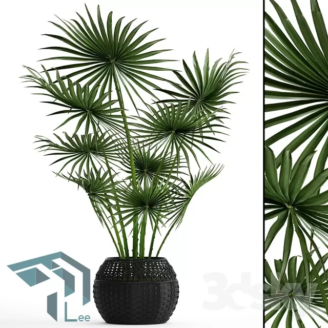 3DSKYFREE – PLANT 3DS MAX MODELS