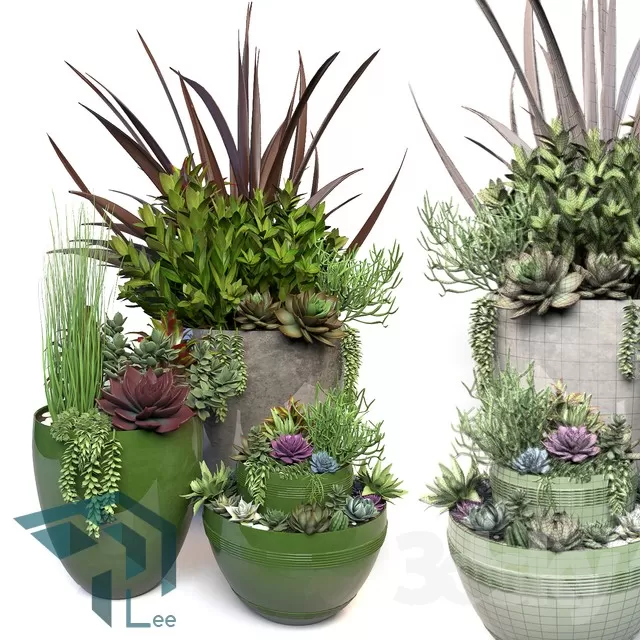 3DSKYFREE – PLANT 3DS MAX MODELS