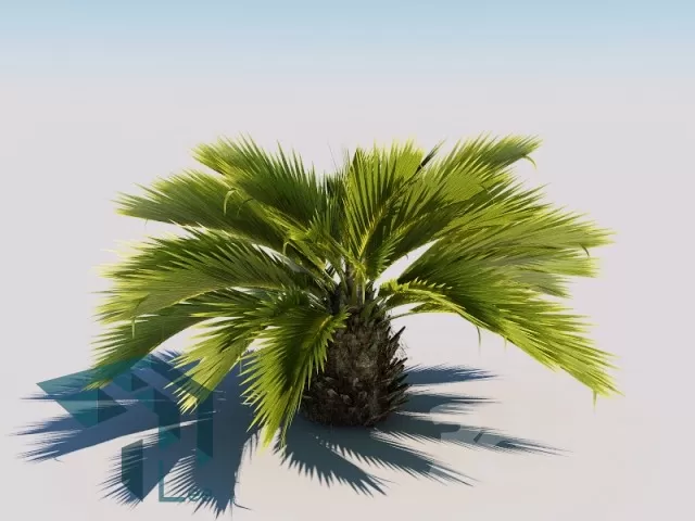 3DSKYFREE – PLANT 3DS MAX MODELS