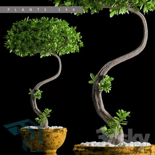 3DSKYFREE – PLANT 3DS MAX MODELS