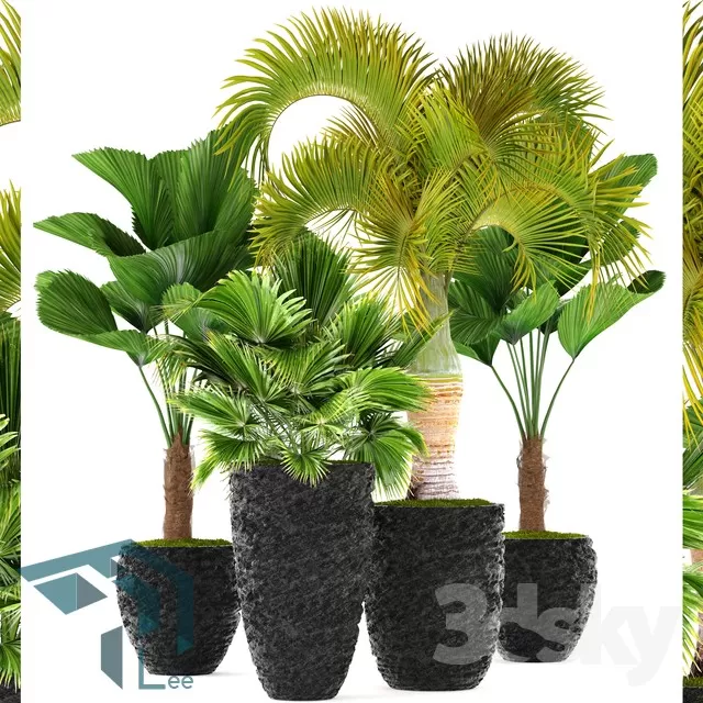 3DSKYFREE – PLANT 3DS MAX MODELS