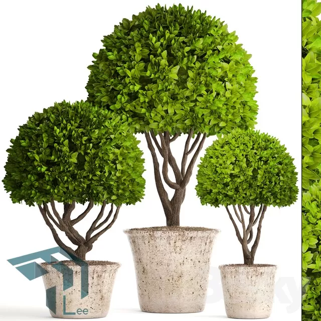 3DSKYFREE – PLANT 3DS MAX MODELS