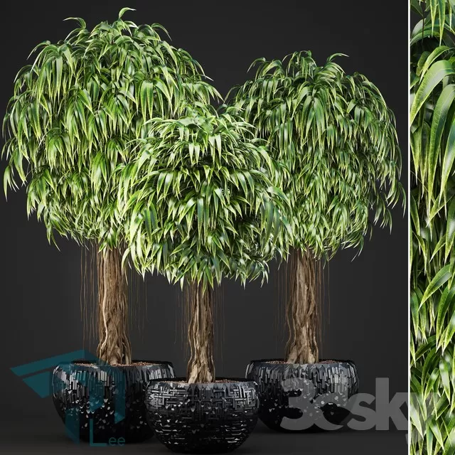 3DSKYFREE – PLANT 3DS MAX MODELS