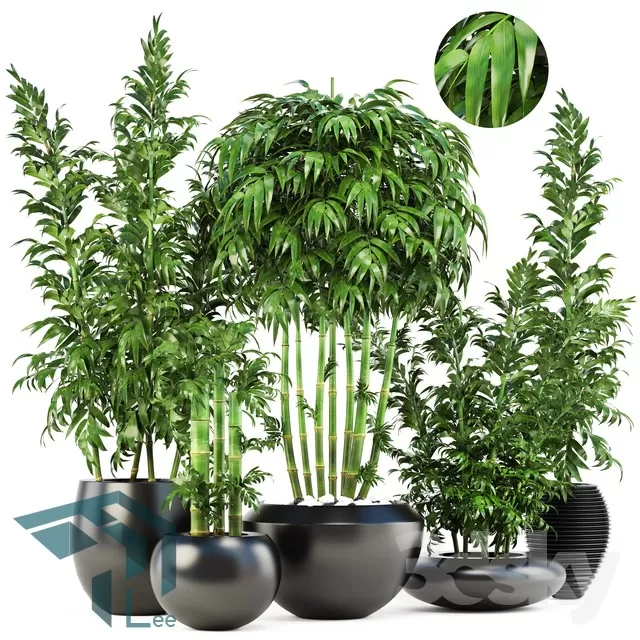 3DSKYFREE – PLANT 3DS MAX MODELS