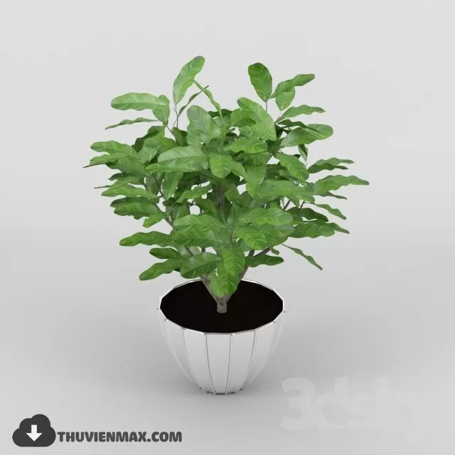 3DSKYFREE – PLANT 3DS MAX MODELS