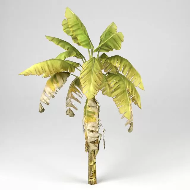 3DSKYFREE – PLANT 3DS MAX MODELS