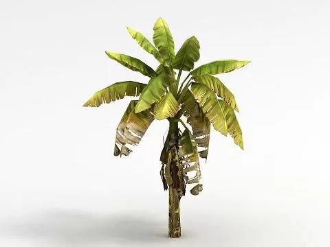 3DSKYFREE – PLANT 3DS MAX MODELS