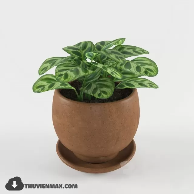 3DSKYFREE – PLANT 3DS MAX MODELS