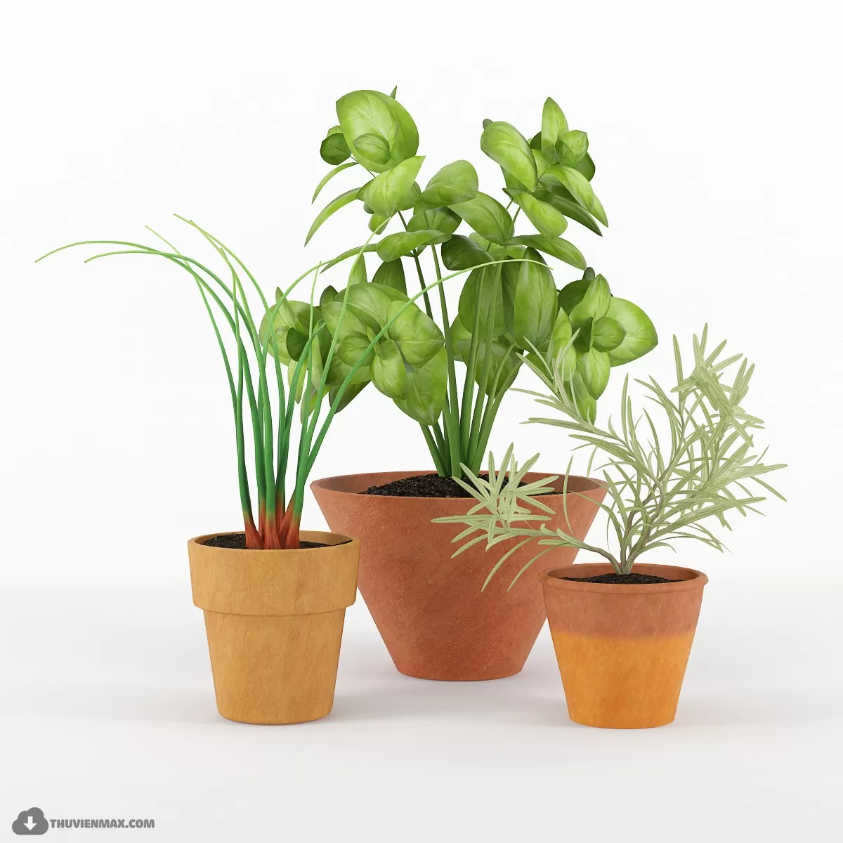3DSKYFREE – PLANT 3DS MAX MODELS