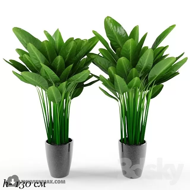 3DSKYFREE – PLANT 3DS MAX MODELS