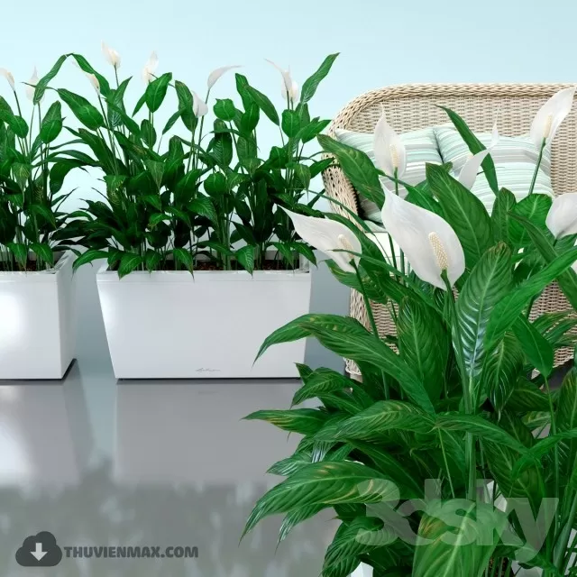 3DSKYFREE – PLANT 3DS MAX MODELS