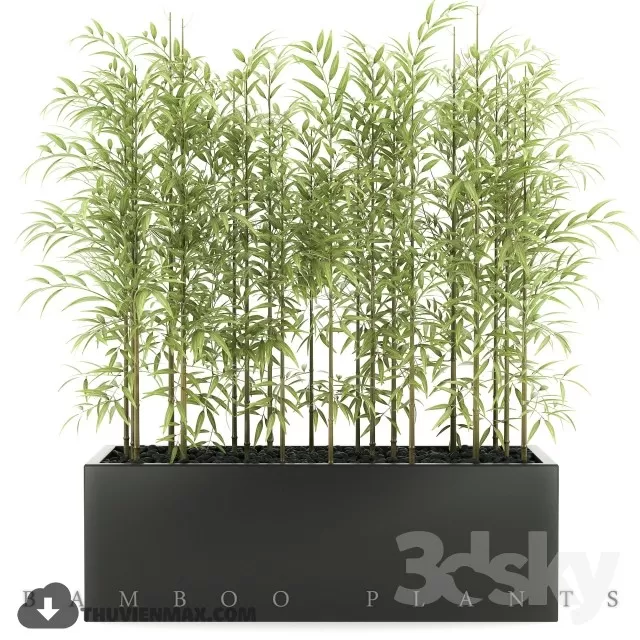 PLANT 3D MODELS