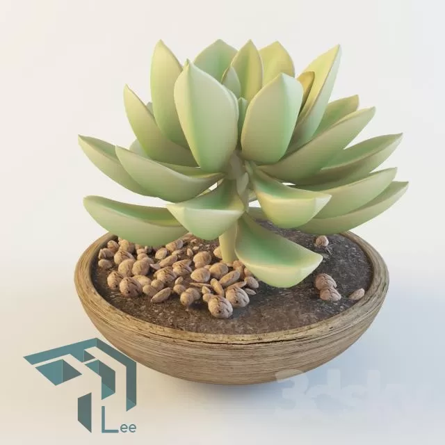 3DSKYFREE – PLANT 3DS MAX MODELS