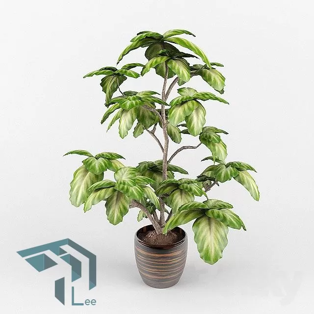 3DSKYFREE – PLANT 3DS MAX MODELS
