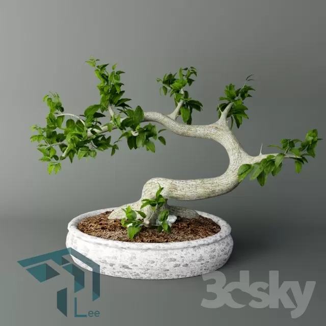 3DSKYFREE – PLANT 3DS MAX MODELS