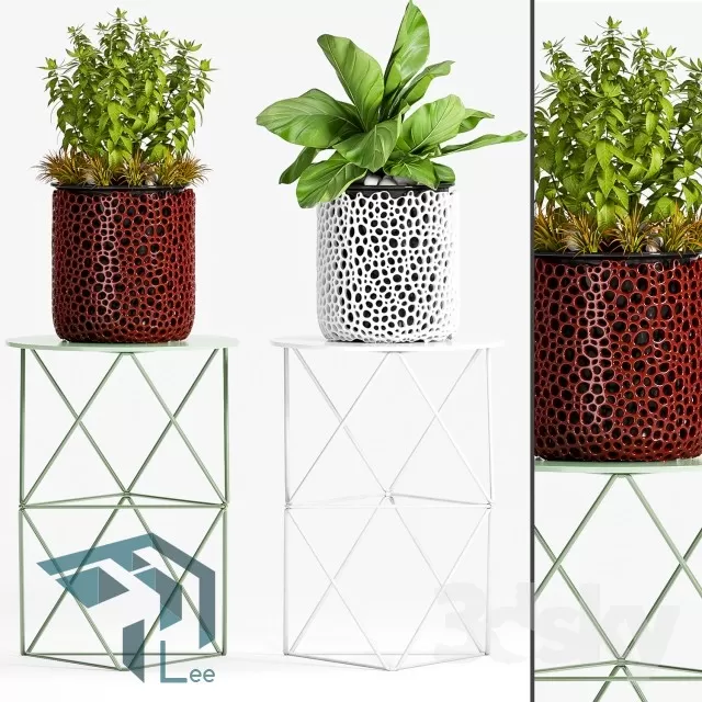 3DSKYFREE – PLANT 3DS MAX MODELS